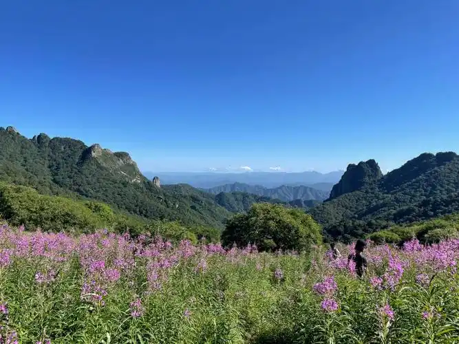 徒步分水岭高山草甸