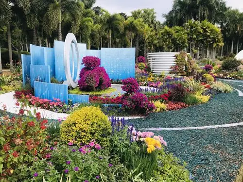 深圳莲花山公园花展-2020年12月15日