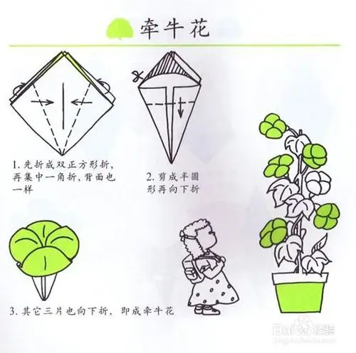 今天的儿童折纸,小编就教大家牵牛花的手工折法,非常的简单哦 ,一起来