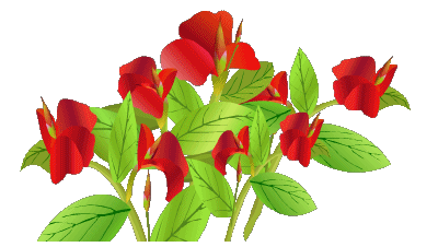【原创素材】透明gif格式花草素材(新制01)