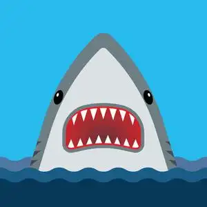 鲨鱼张开嘴和锋利的牙齿照片