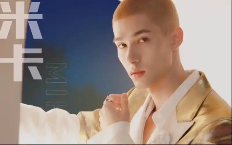 【米卡mika】|搭配《输入法》绝美音色 丝滑卡点|混剪安利向_哔哩哔哩