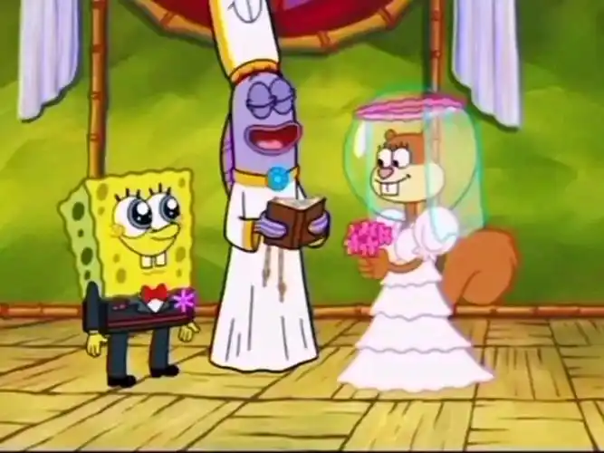 海绵宝宝的一生!