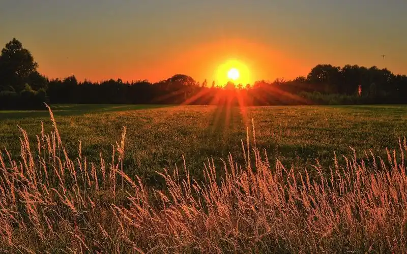 大自然是最美的风景