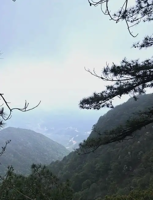 🏔️军峰山海拔揭秘