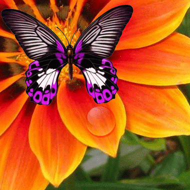 400_400gif 动态图 动图