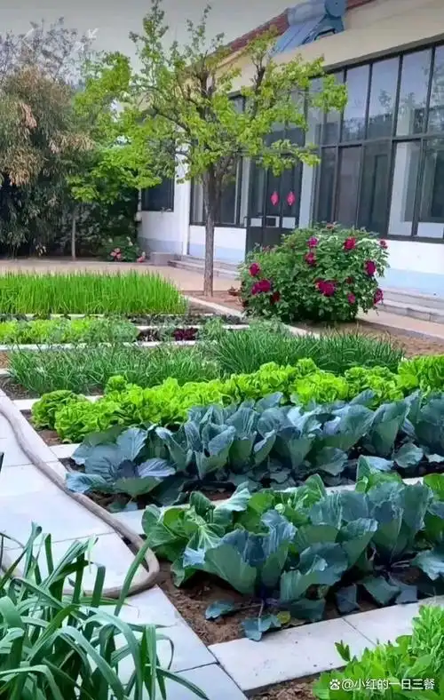 15年以后,卖掉城里的房子,回农村老家建个房子搞个院子回家养老