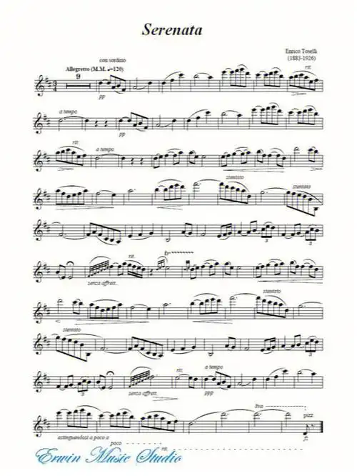 欣赏小提琴演奏的小夜曲推荐