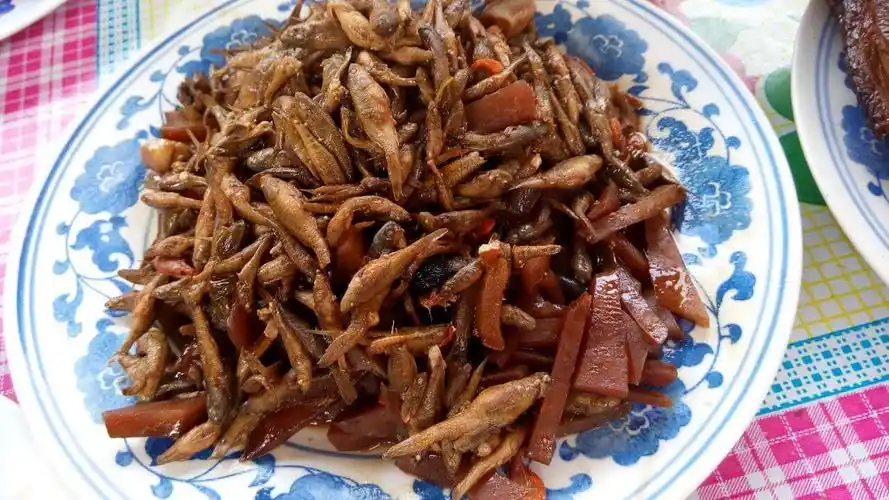 (白洋淀的特色美食——黑三根儿,有点像我们平时咸菜的作用.