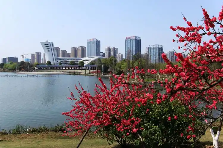 白马湖公园春色-常德