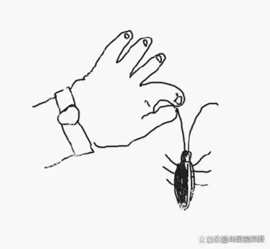 如果不知蟑螂"天敌"是啥:屋内放1个它,蟑螂就"集体消失"了