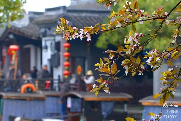 烟雨江南~梦里水乡