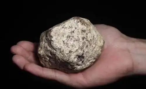 世界上最贵的屎却是高级香水的重要原料5斤就值500多万