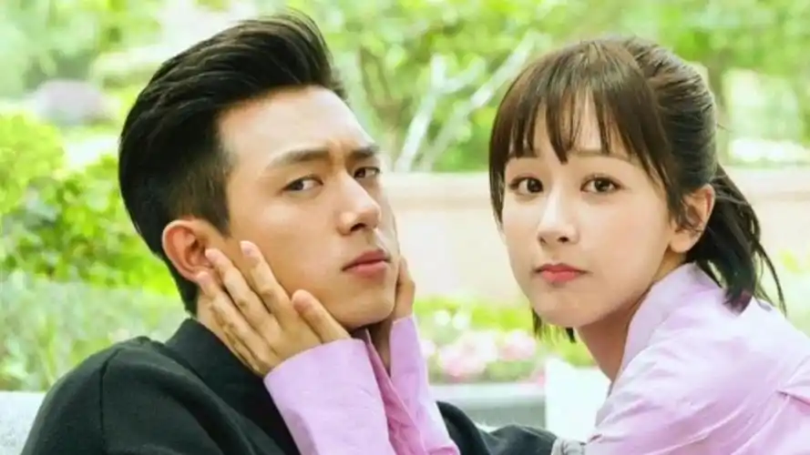 李现杨紫能否结婚占卜