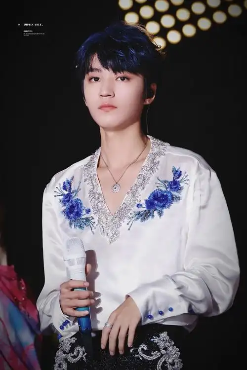 王俊凯十周年演唱会单人机位