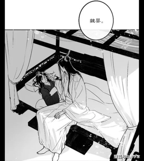 魔道魏婴怀疑自己断袖不敢再与蓝湛同榻而眠蓝湛让网友姨母笑