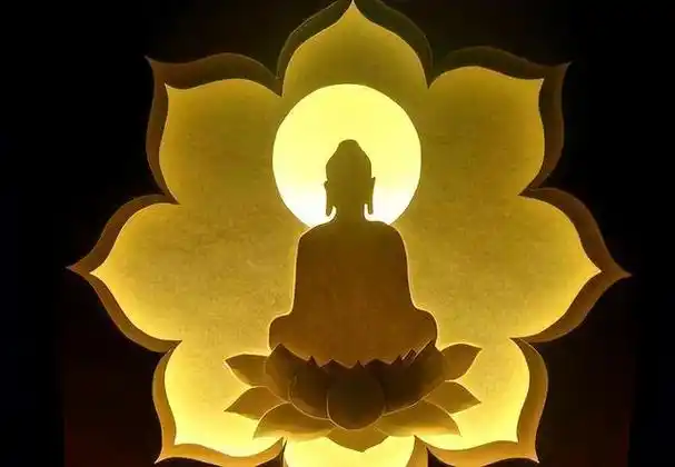 佛教为什么爱莲花