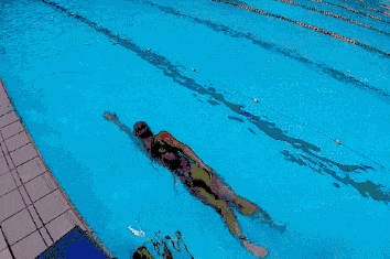 动图示范,自由泳直臂划水教学