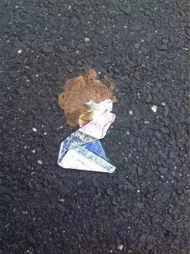 不放大看绝对要误会的10张图看了别害羞