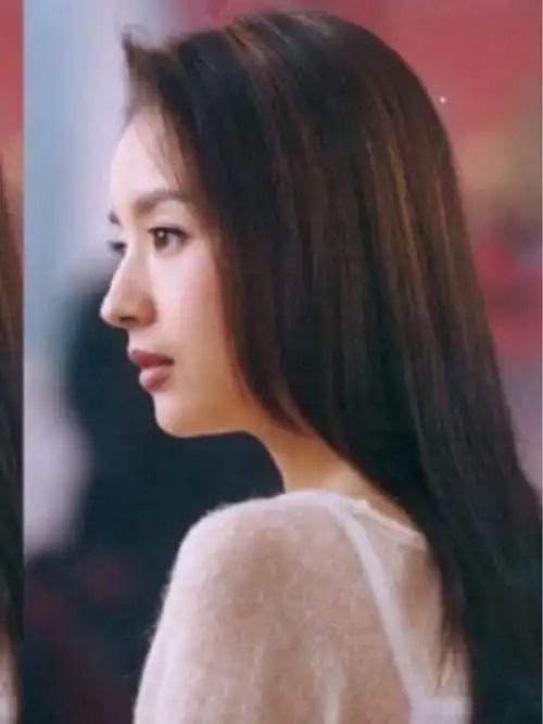 董洁也参加了《姐姐2》,近年来网友们对她的认知都是评价其变刻薄了