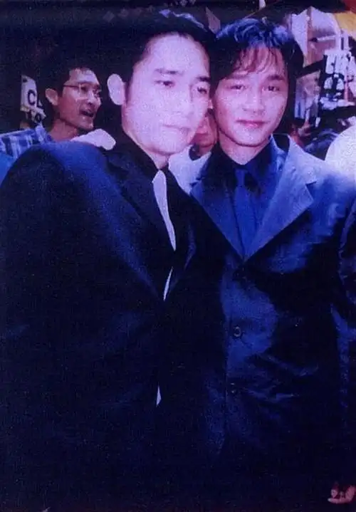 《堕落天使》 黎明 李嘉欣 金城武 杨采妮 莫文蔚《花样年华》 张曼玉