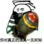 你对真正的清真一无所知(手拿大导弹)_手拿大_清真_一无所知表情
