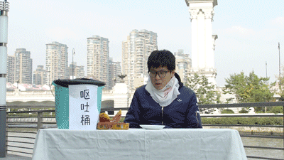 我摊牌了,千万不要尝试荷兰菜! - 哔哩哔哩