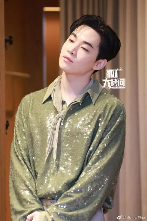 刘宪华绿色亮片衬衫