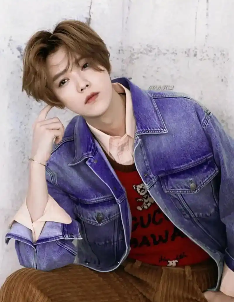 鹿晗的面容精致,五官柔和清秀,是公认的帅气,尤其是刚回国的时候,一头