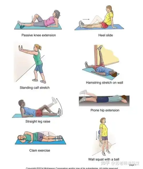 前叉韧带acl术后康复:阶段康复目标与训练指南 - 知乎