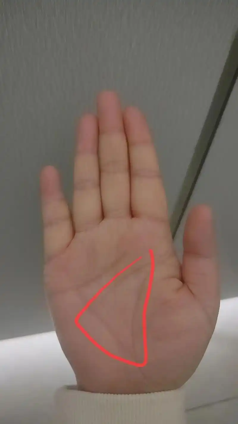 三角纹一听就与三角有关,所以三角纹从另一种角度来说,也就是所谓的财