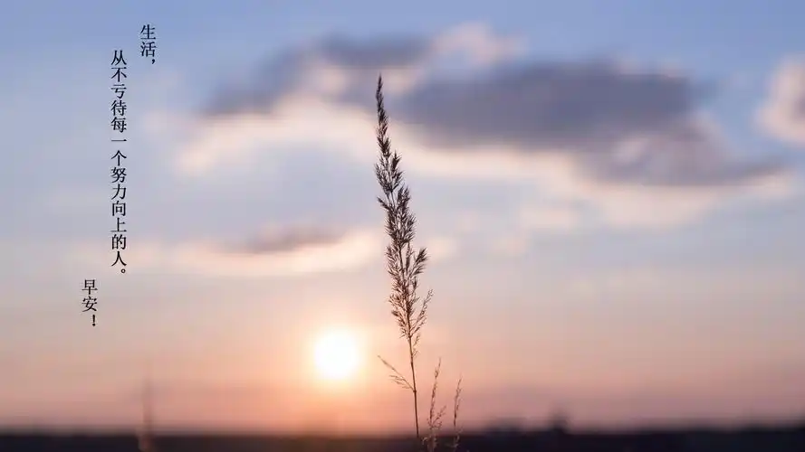清新简约励志文字图片桌面壁纸