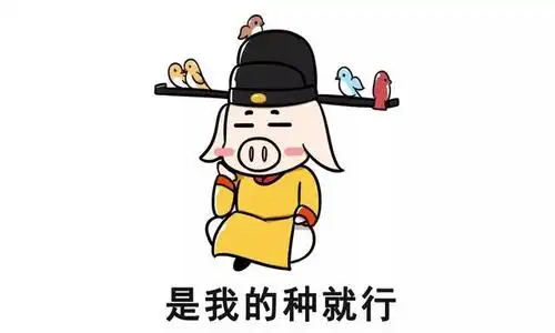 流传已久的狸猫换太子的历史真相她竟被冤枉了一千多年