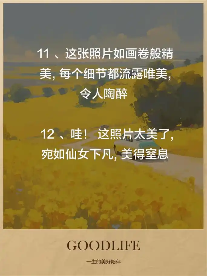 句子 1,这张照片宛如画作,充满艺术气息,令人陶醉 2,镜头下的瞬间,美