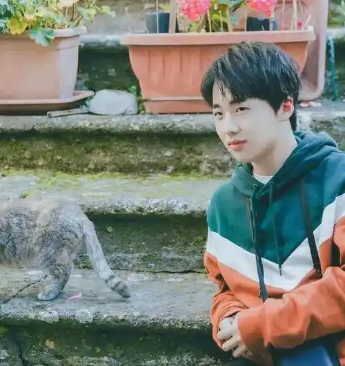 郭麒麟和张子枫恋爱了?