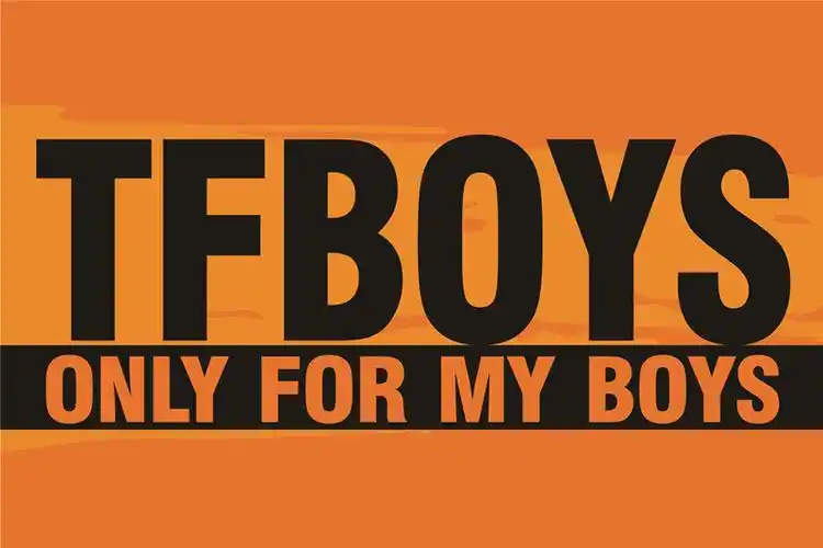 tfboys应援大旗王俊凯易烊千玺时代少年团旗子  tfboys应援大旗王