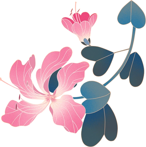 紫荆花素材 - canva可画