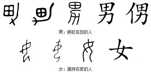 ①读音男女nánnǚ 男,甲骨文是个会意字,左边是一块田,右边是一件