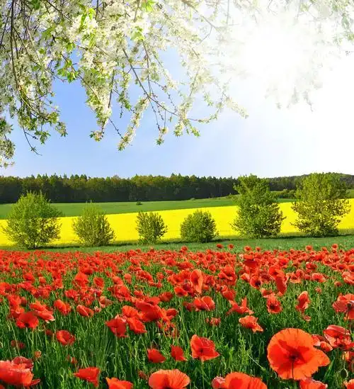 特别漂亮的手机风景壁纸,超级好看!