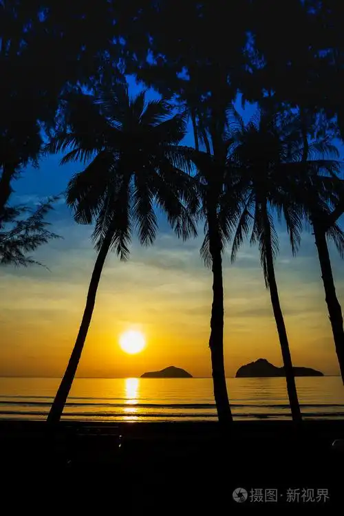 海上日出群岛和椰子树