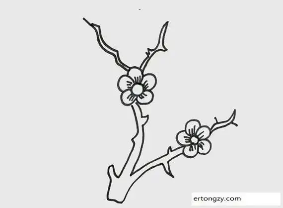 树枝上的梅花简笔画画法步骤图片 - 简笔画