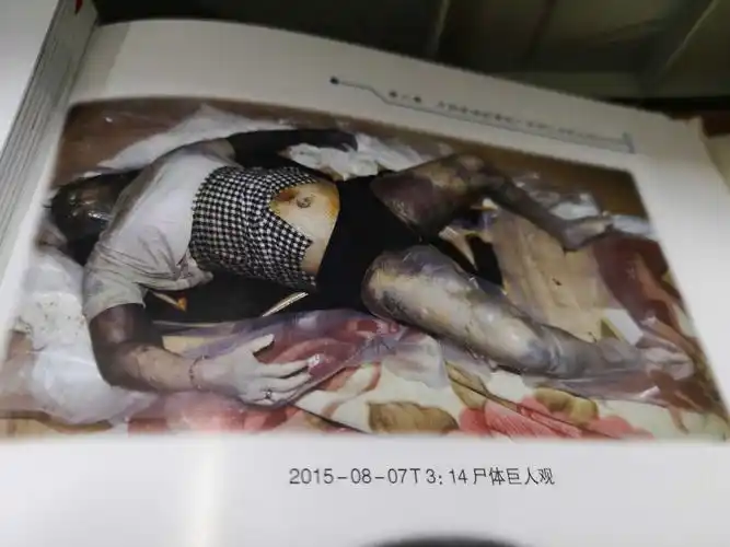 法医- 收藏夹 - 知乎