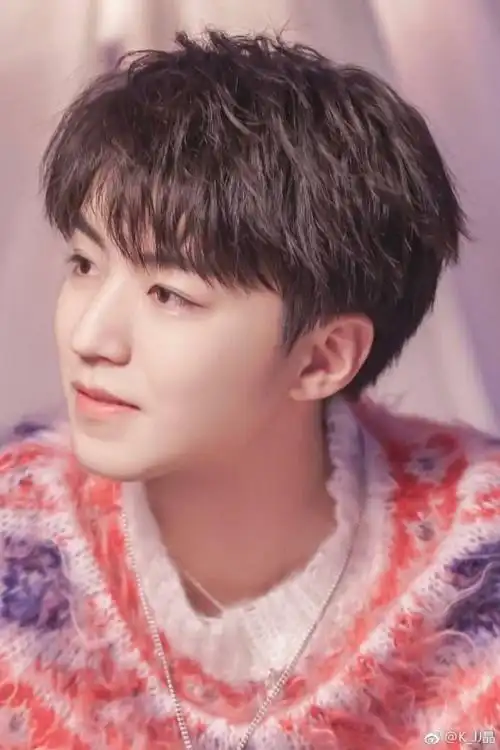 明星同人小说 王俊凯:高冷影帝怀里来.