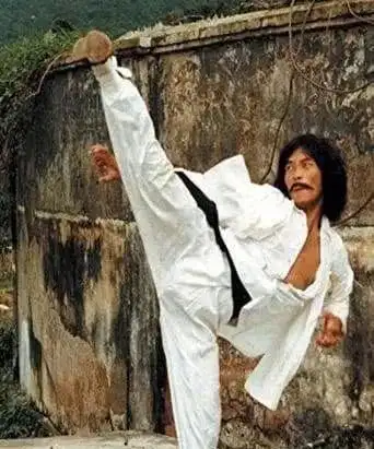 黄正利:成龙曾被踢掉牙,跆拳道黑带9段,一脚让挑战者丧命