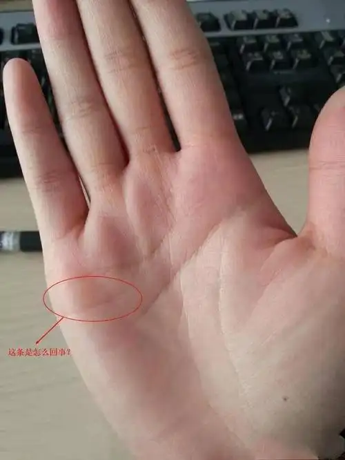 这样的手相命中注定有横财可发