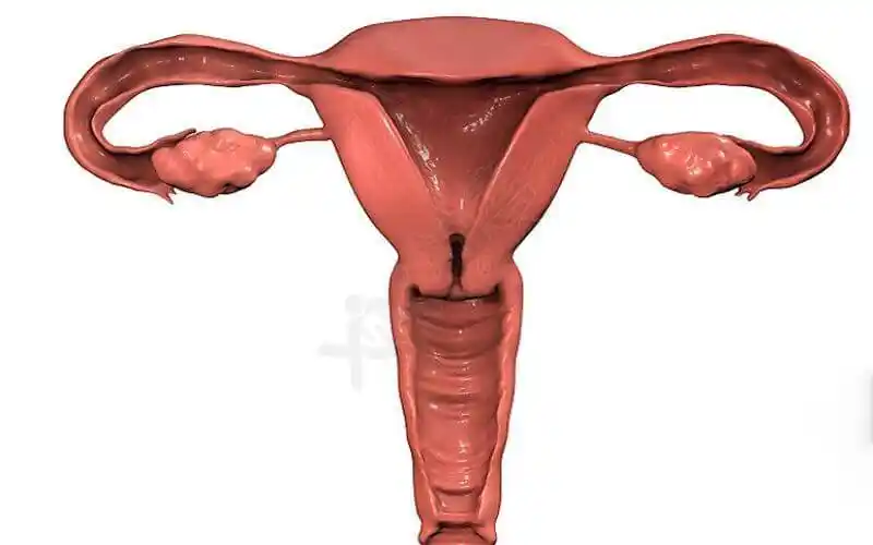 子宫畸形除心形外还有哪些种类和形状