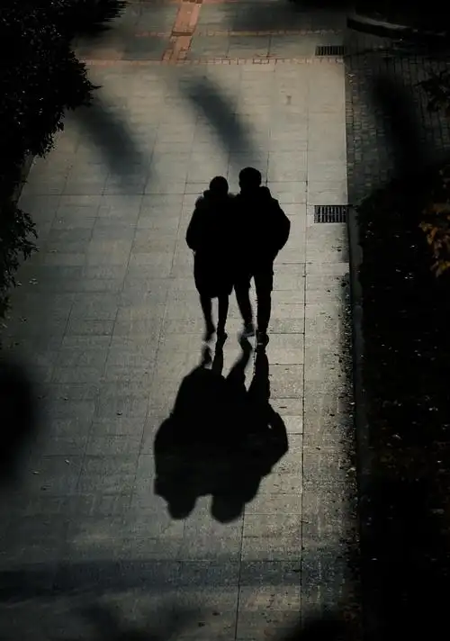 还有依偎的恋人不仅有相伴的朋友路灯下静候学子的脚步它始终在那里无