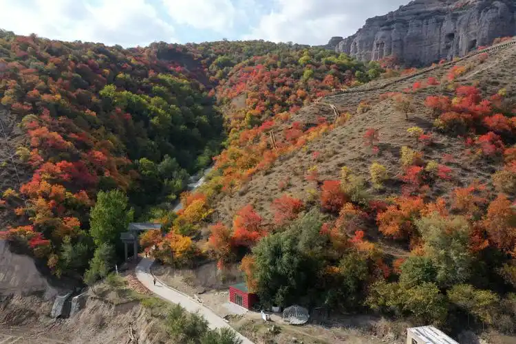 新疆霍城大西沟中华福寿山层林尽染醉晚秋