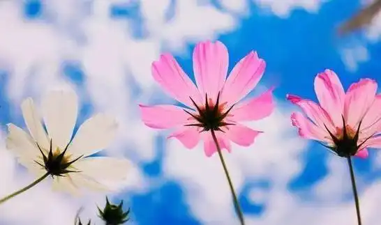 退网,落网?一字之差结局大不同!吴亦凡的事给男人提个醒