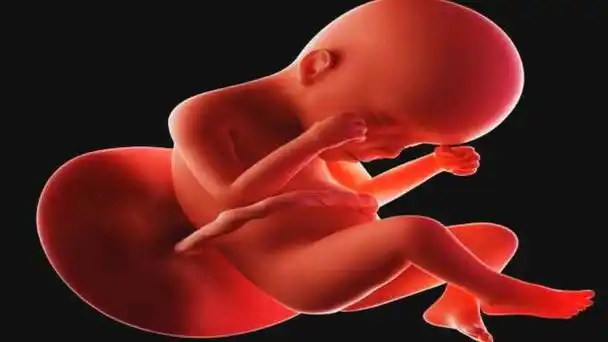 胎儿在第六个月的时候需要注意的事情